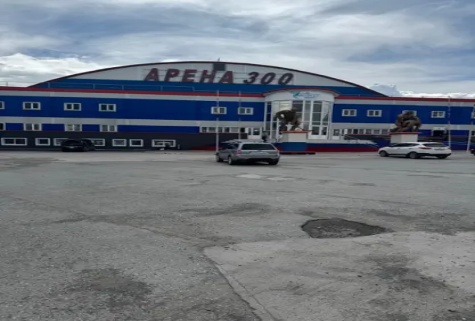arena_300.png